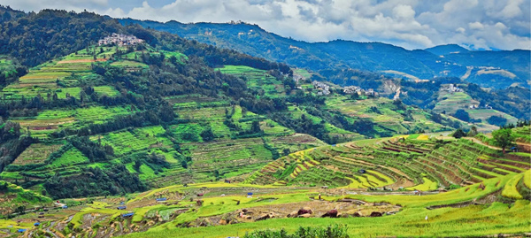 腊姑梯田。51视频直播
供图